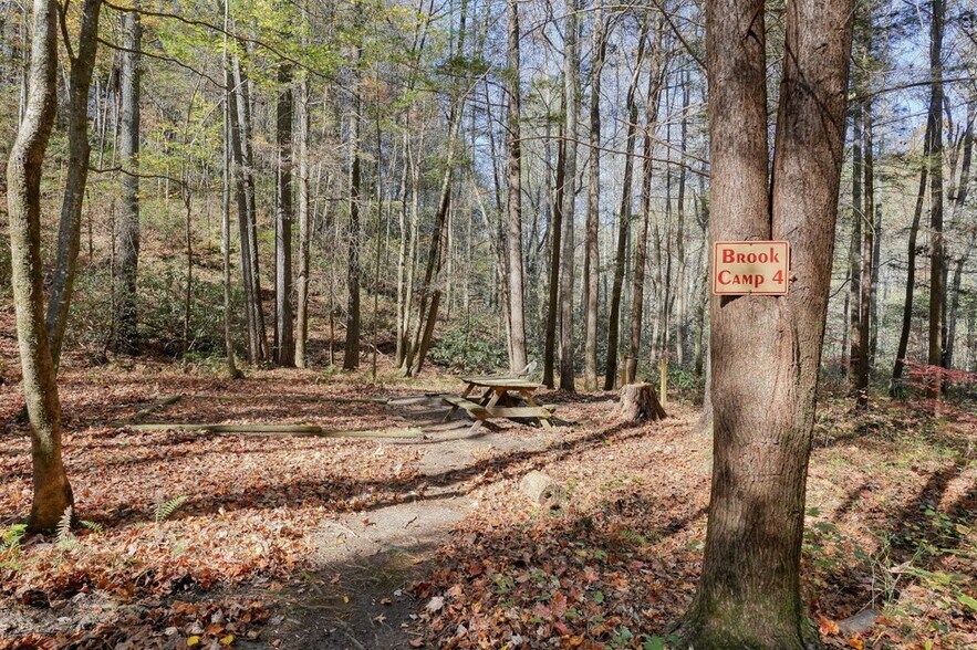 More Photos Of 400 Mulberry Gap Rd, Ellijay Hospitality For Sale