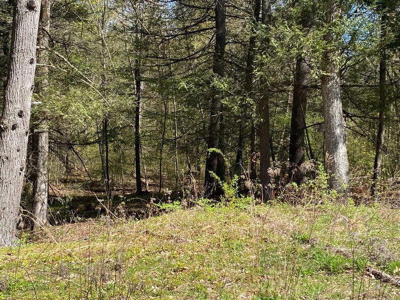 More Photos Of 100 Pequot Rd, Southampton Land For Sale
