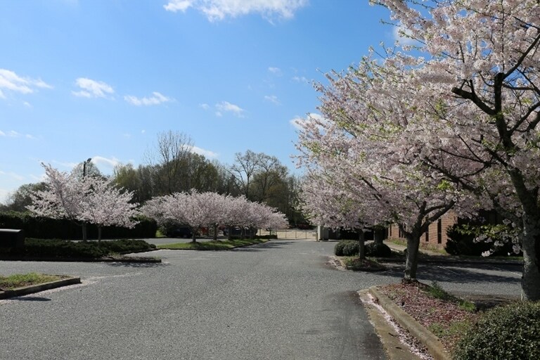 More Photos Of 6920 E Marshville Blvd, Marshville Radio TVTransmission Facilities For Sale