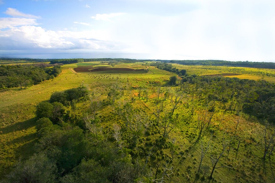 More Photos Of 27-5159 Puia Rd, Papaikou Land For Sale