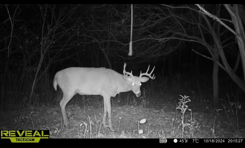 More Photos Of Fisher Road, Iola Land For Sale