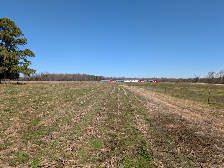 Primary Photo Of 000 Cedar Fork Road, Beulaville Land For Sale