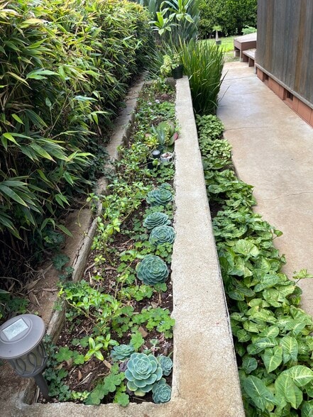 More Photos Of 3135 Lower Kula Rd, Kula Storefront Retail Office For Sale