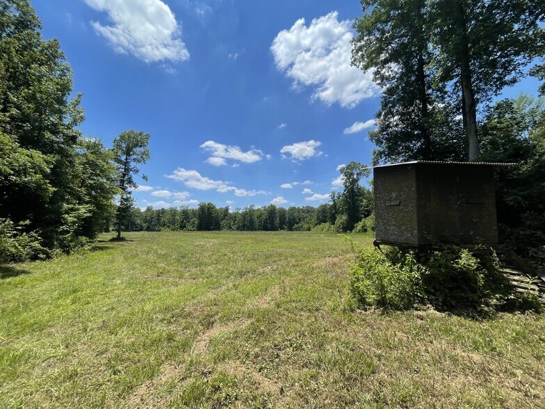More Photos Of Raspberry Street & 69 hwy, Gallion Land For Sale