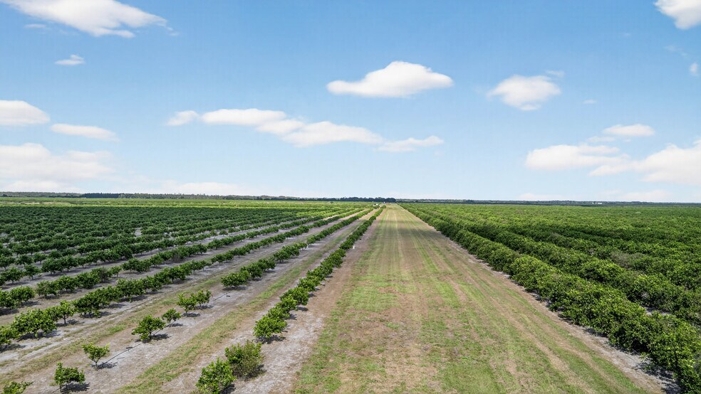 More Photos Of 8476 Ten Mile Grade, Zolfo Springs Land For Sale