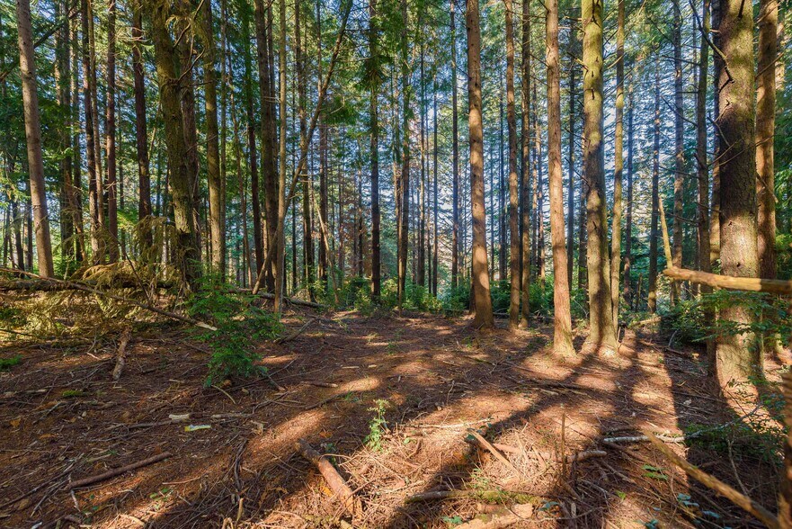 More Photos Of 0 Newmark ave, North Bend Land For Sale