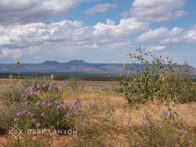 More Photos Of Snow Flts Rd, Blanding Land For Sale
