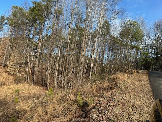 More Photos Of 00 Ash St, Canton Land For Sale