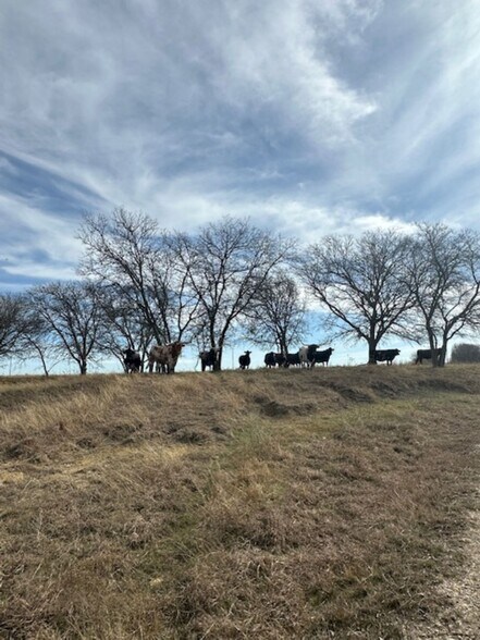 More Photos Of 363 County Road 4403, Grandview Land For Sale