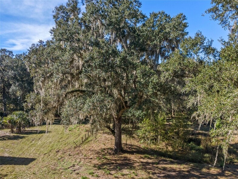 More Photos Of 13524 Corkwood Ln, Astatula Land For Sale
