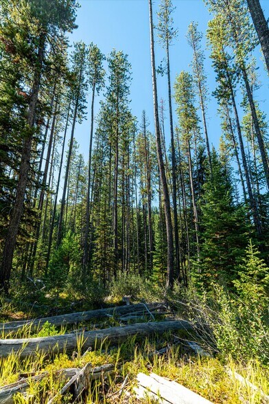 More Photos Of Nhn Logan Creek Road, Kila Land For Sale