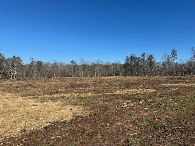 More Photos Of 693 Elledge Road, Ware Shoals Land For Sale