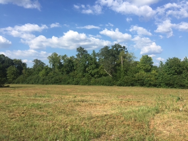 Primary Photo Of Joe Frank Harris Pky, Adairsville Land For Sale