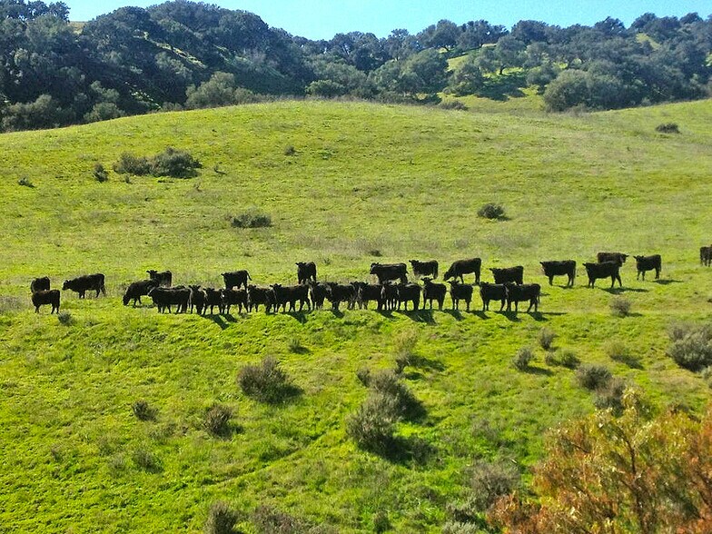 More Photos Of 2051 Highway 101, Buellton Land For Sale