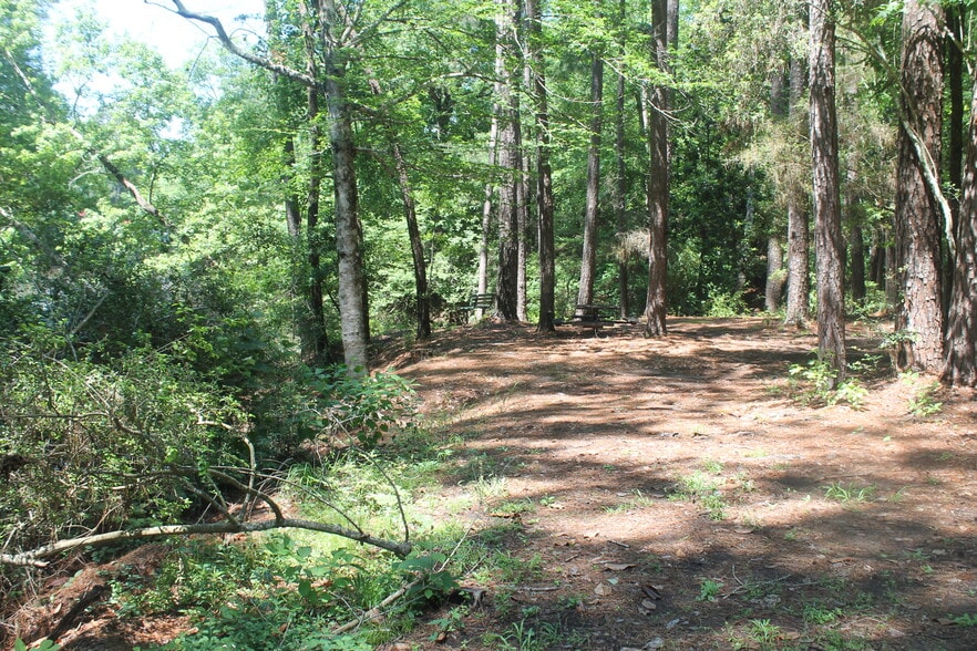 More Photos Of 248 WOODSY Holw, Goodrich Land For Sale