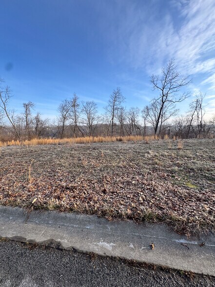 More Photos Of Willis Lane, Pea Ridge Land For Sale