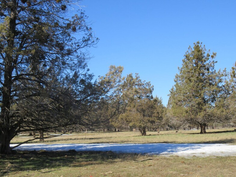 More Photos Of 295 Co Rd 149, Lookout Land For Sale