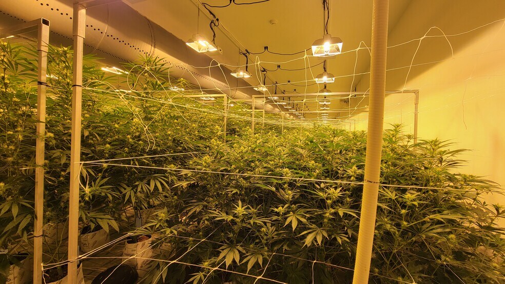 More Photos Of 515 Hammontree Dr, Morenci Industrial For Sale