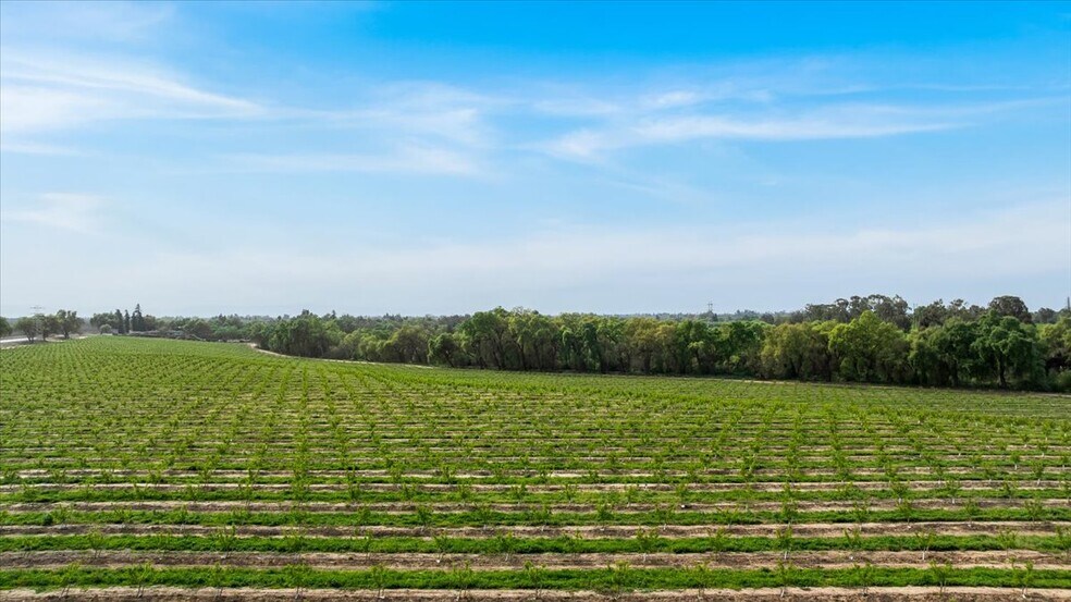More Photos Of Albers Rd, Modesto Land For Sale