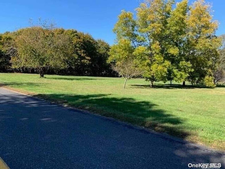 More Photos Of 385 New Suffolk Ave, Mattituck Land For Sale