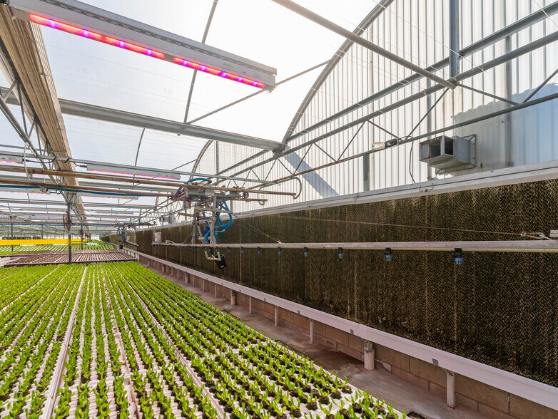 More Photos Of 2075 N Twin Oaks Valley Rd, San Marcos Garden Center For Lease