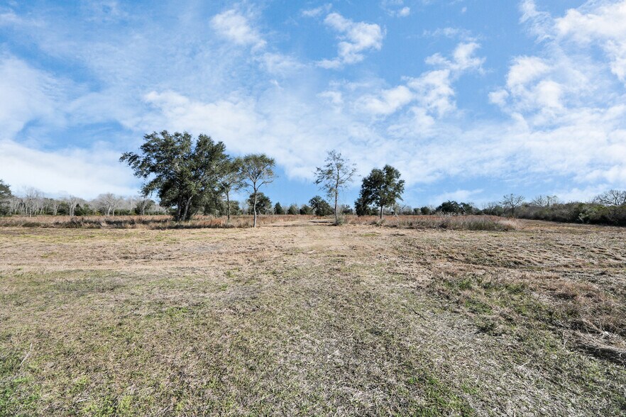 More Photos Of 10 FM 2403, Alvin Land For Sale
