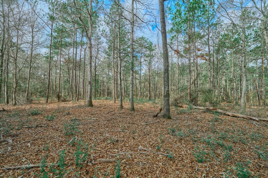 More Photos Of TBD Crockett Martin, Conroe Land For Sale