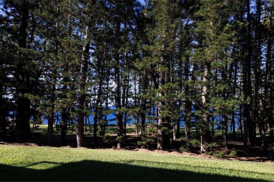 More Photos Of 54-250 Lokahi Rd, Kapaau Hospitality For Sale