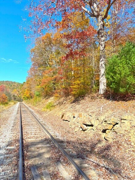 More Photos Of 0 Sewell Creek Rd, Meadow Bridge Land For Sale