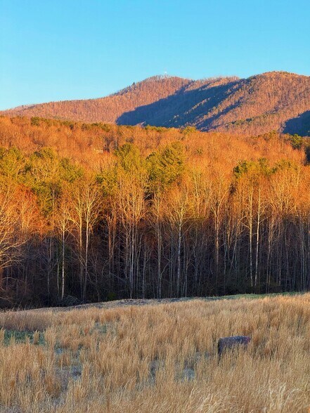 More Photos Of 142 Mace Rd, Casar Land For Sale