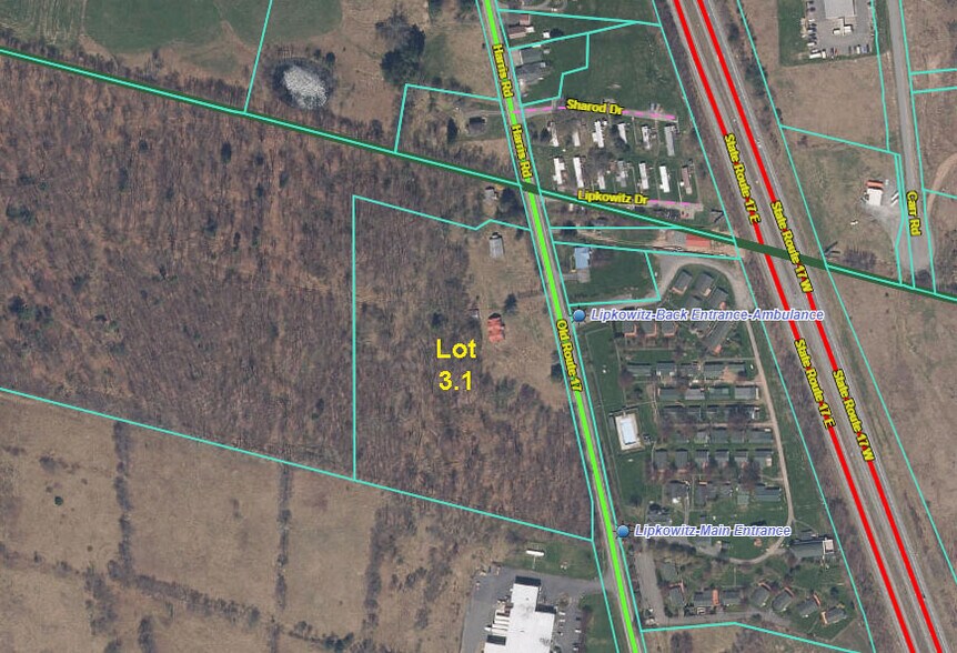 More Photos Of 1283 Old Route 17, Ferndale Land For Sale