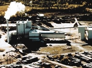 Primary Photo Of 58 Sherman Lumber Company Rd, Stacyville Specialty For Sale