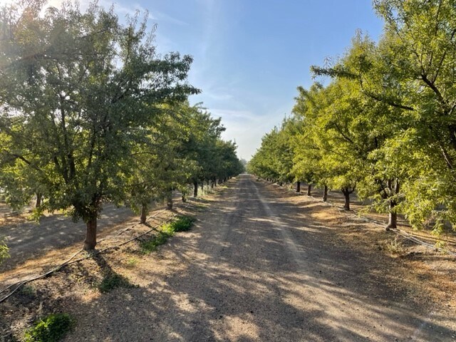 More Photos Of N/E Corner Avenue 228 & Road 56, Tulare Land For Sale