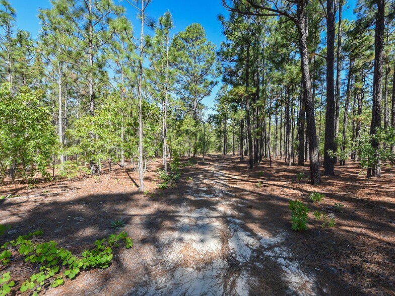 More Photos Of 224 Foxfire Rd, Aberdeen Land For Sale