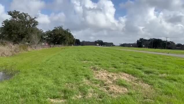 Primary Photo Of 0 Hwy 35, Angleton Land For Lease