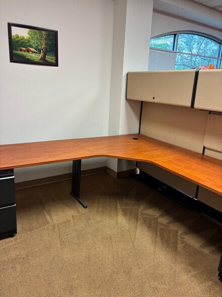 More Photos Of 1 Tiffany Pt, Bloomingdale Medical For Lease