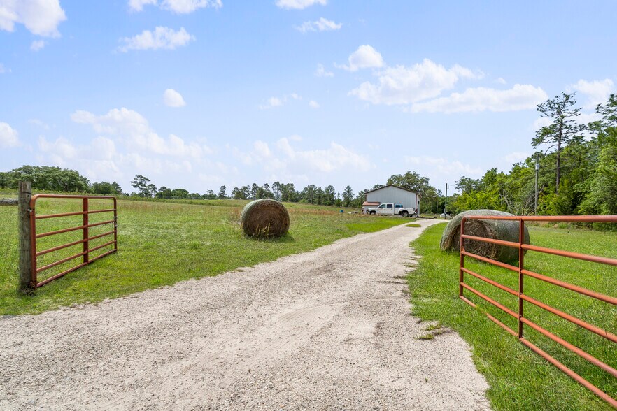 Primary Photo Of 130 Strawberry ln, Pomona Park Land For Sale