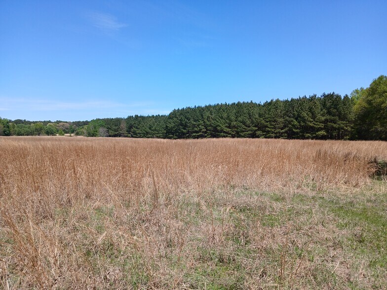 More Photos Of 414000 E 1920 Rd, Antlers Land For Sale