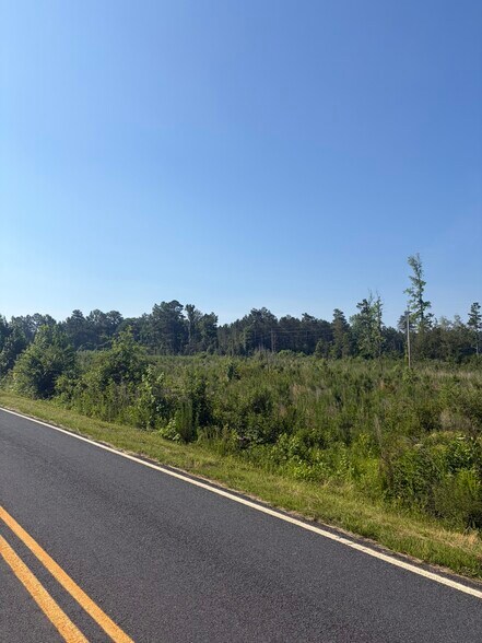 More Photos Of 00 Everett Chappell Rd, Mount Gilead Land For Sale