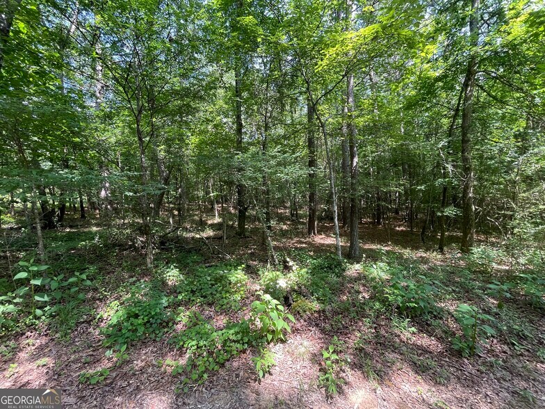 More Photos Of 0 Fallen Branch Circle Southeast, Rome Land For Sale