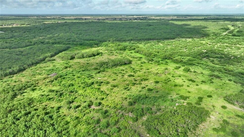 More Photos Of CR 2170, Ricardo Land For Sale