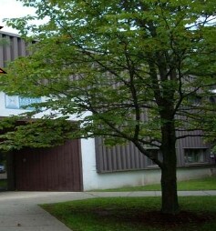 Primary Photo Of 11 Tigan St, Winooski Warehouse For Lease