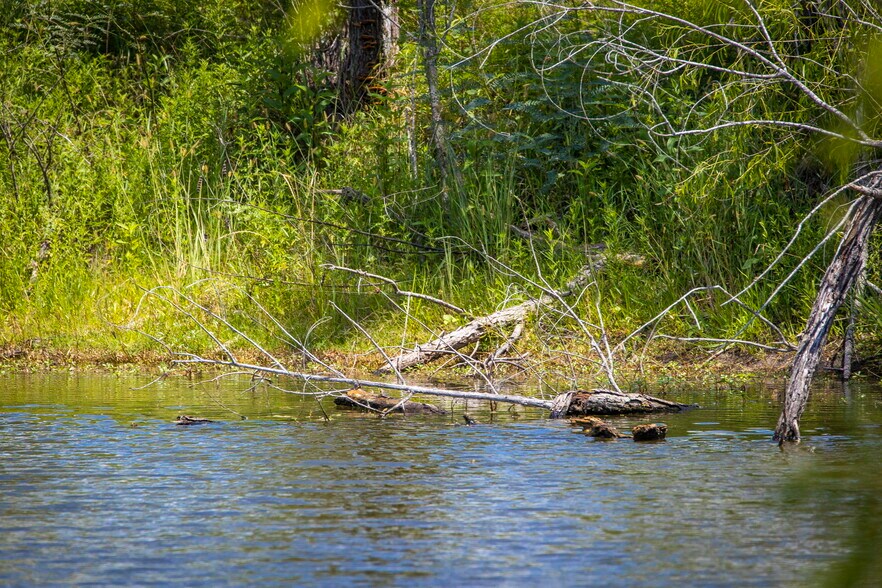 More Photos Of 181 Pine Meadow Rd, Seguin Land For Sale