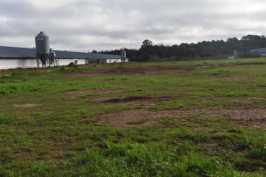 More Photos Of 441 Weaver Rd, Moultrie Land For Sale