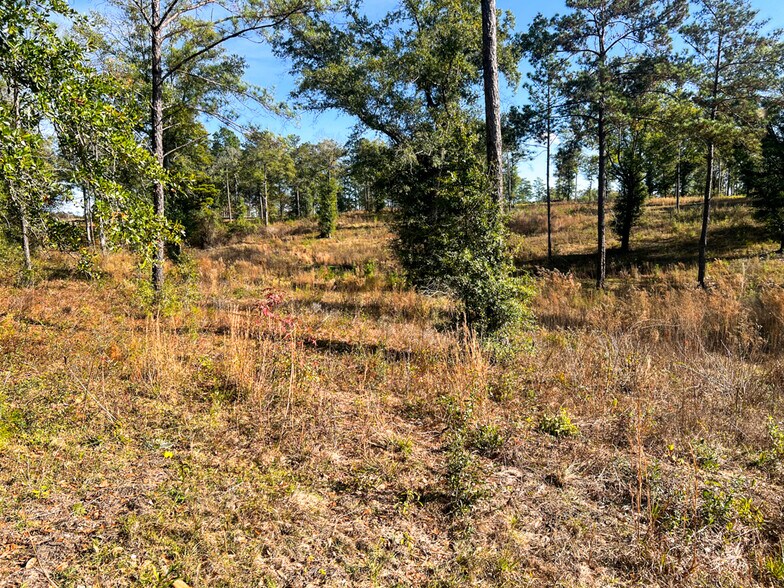 More Photos Of 0 Highway 198, Lucedale Land For Sale