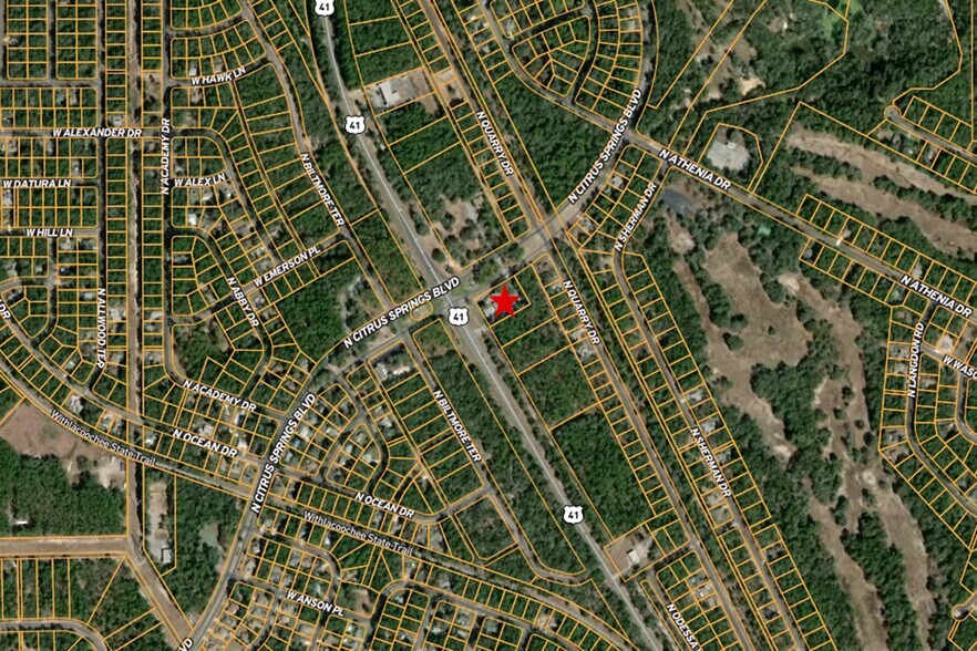 More Photos Of 10241 N Florida Ave, Citrus Springs Bank For Sale