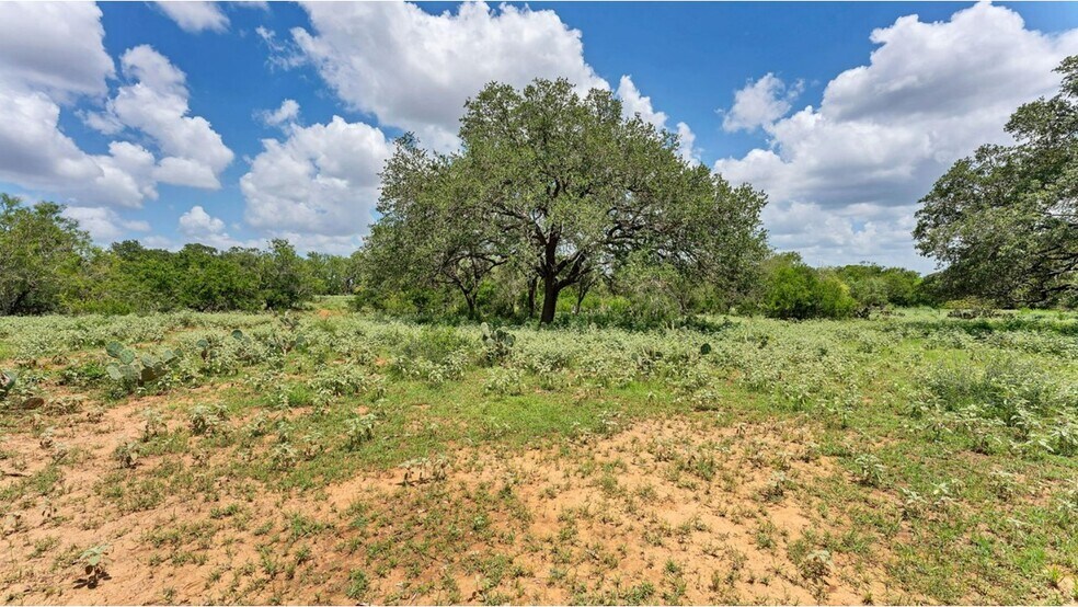 More Photos Of 209 FM 1344, Floresville Land For Sale