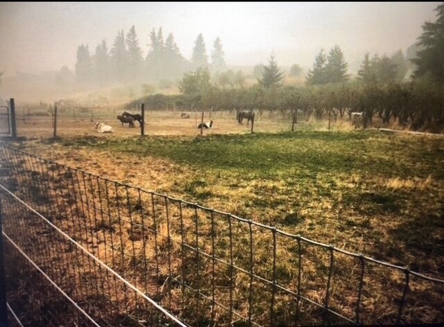 More Photos Of 4551 Post Canyon Dr, Hood River Land For Sale