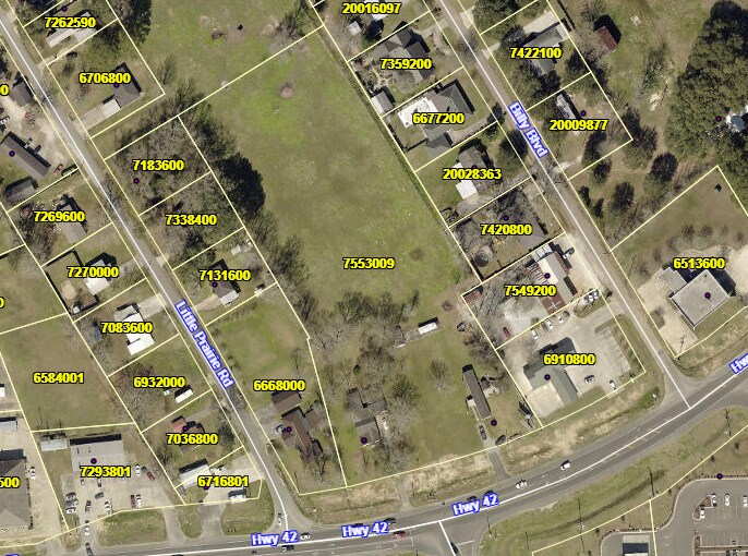 More Photos Of 40512 Highway 42, Prairieville Land For Sale