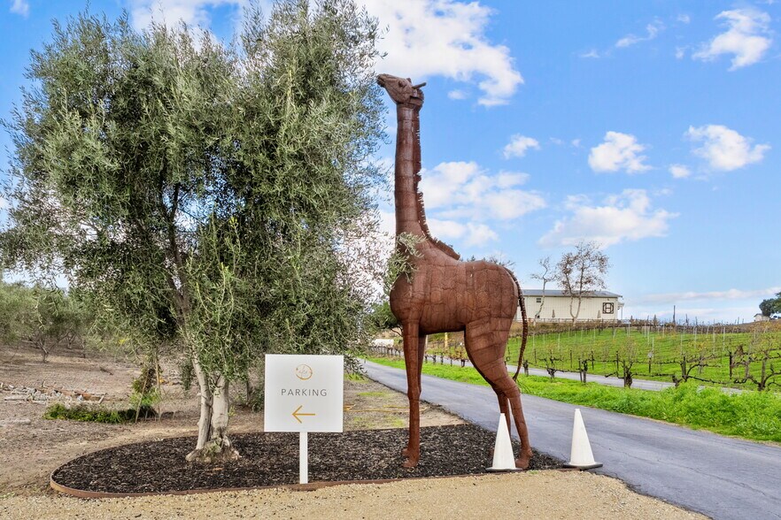 More Photos Of 41309 Avenida Biona, Temecula Winery Vineyard For Sale